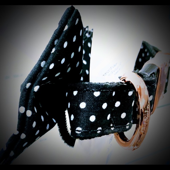 ๐พLuxury Dog Collar with Bow Tie ~ Limited Edition ~ Pets ~ OSFM ~Host Pick x9 - Picture 4 of 15